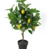 Dehner Kunstpflanze Zitronenbaum -Gartenleben Verkauf 6713408 WE FS 001 KunstpflanzeZitronenbaumgetopft