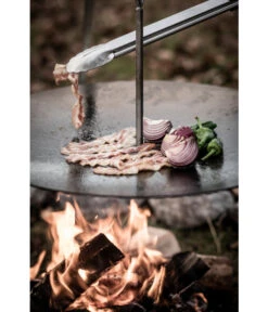 Petromax Hänge-Feuerschale 15 Petromax Hänge-Feuerschale -Gartenleben Verkauf 6769384 WE MO 003 GautzschPetromaxHaenge Feuerschale