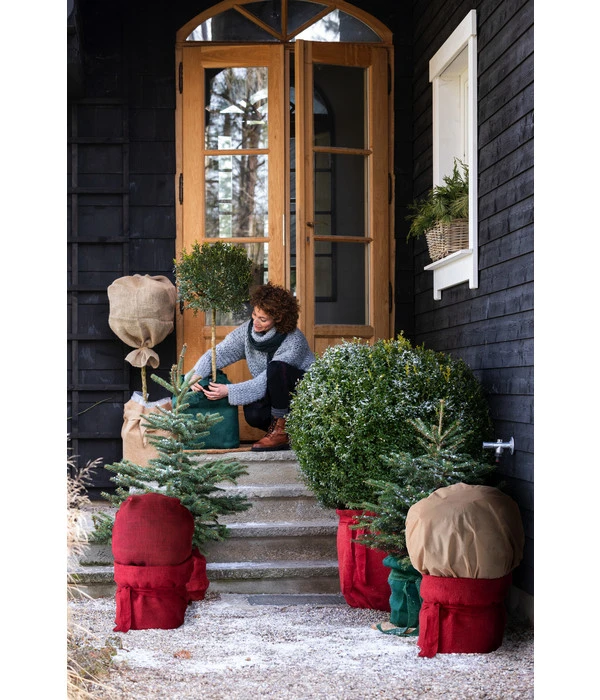 Dehner Pflanzen-Isolierfolie 6 Dehner Pflanzen-Isolierfolie – Bild 4