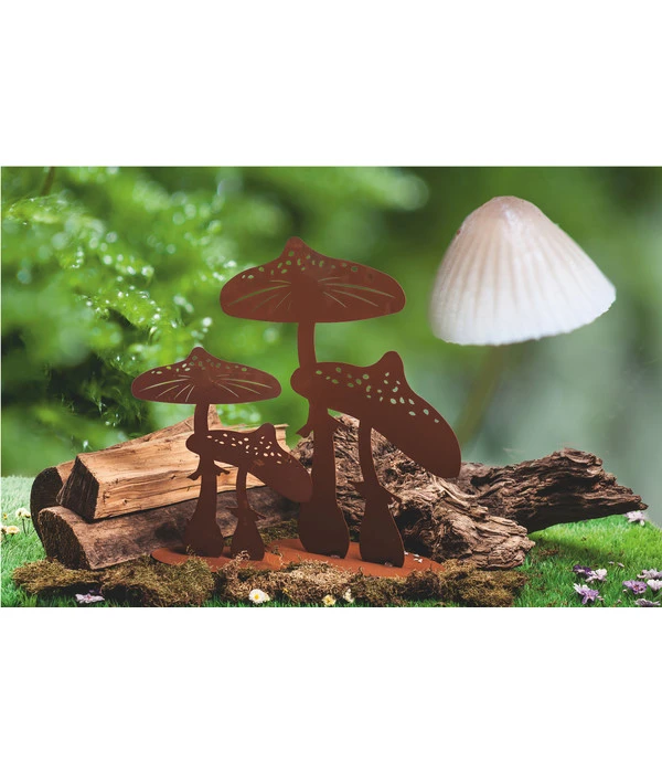 Ferrum Rost-Fliegenpilz 4 Ferrum Rost-Fliegenpilz – Bild 2