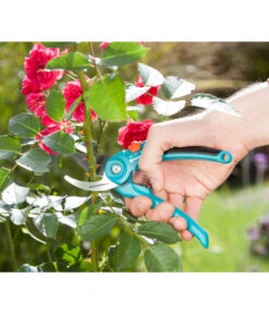 GARDENA Bypass Gartenschere B/S-M -Gartenleben Verkauf 6916308 WE MO 003 GardenaGartenschereBS M
