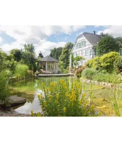 Wolff Finnhaus Pavillon Milano 3.5, Ca. B430,1/H346/T430,1 Cm -Gartenleben Verkauf 6931927 WE MO 003 FinnhausGartenhaus