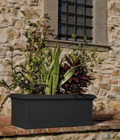 Farmet New Kunststoff-Kasten, Rechteckig, Inkl. Untersetzer 8 Farmet New Kunststoff-Kasten, Rechteckig, Inkl. Untersetzer -Gartenleben Verkauf 6964936 WE MO 001 FarmetNewKunststoffKastenrechteckig