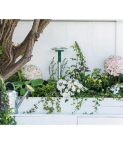 Dehner Natura Vogeltränke CLiCK, Ca. B22,5/H6,5/T21 Cm -Gartenleben Verkauf 6968366 WE MO 002 NaturaClickVogeltraenke