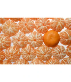 Mandarine -Gartenleben Verkauf 7120306 WE MO 001 MandarineCitrusReticulataPixabay
