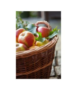 Dehner Gartenkorb -Gartenleben Verkauf 745141 482893 WE MO 002 Gartenkorb