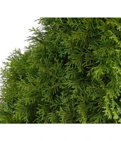 10 Meter Lebensbaum 'Smaragd', 20 X Ca. 125-150 Cm -Gartenleben Verkauf 7513534 WE DE 001 ThujaLebensbaumOccidentalisSmaragd20LDehnerExpressHerzig