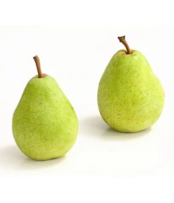 Winterbirne 'Alexander Lucas' -Gartenleben Verkauf 7602709 WE DE 007 BirneAlexanderLucasDehnerExpressHerzig