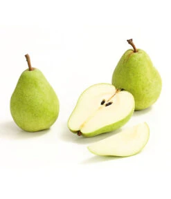 Winterbirne 'Alexander Lucas' -Gartenleben Verkauf 7602709 WE DE 008 BirneAlexanderLucasDehnerExpressHerzig