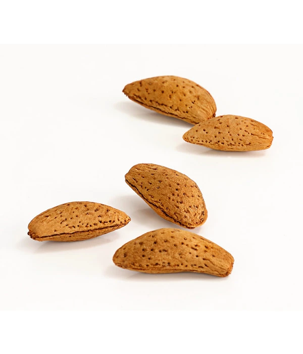 Mandelbaum 5 Mandelbaum – Bild 3