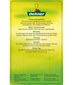 Herbstbirne 'Conference' -Gartenleben Verkauf 7625908 HerbstbirneConference Etikett 2