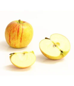 Winterapfel 'Cox Orange' 7 Winterapfel 'Cox Orange' -Gartenleben Verkauf 7626518 WE DE 006 ApfelCoxOrangeDehnerExpressHerzig