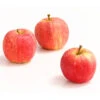 Herbstapfel 'Gala' 2 Herbstapfel 'Gala' -Gartenleben Verkauf 7645880 WE DE 005 ApfelGalaDehnerExpressHerzig