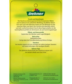 Dehner Haselnuss 'Rote Zellernuss' -Gartenleben Verkauf 7663073 HaselnussRoteZellernuss Etikett 2