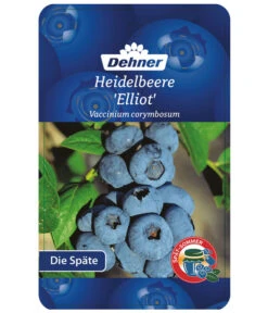 Heidelbeere 'Elliot' -Gartenleben Verkauf 7665227 HeidelbeereElliot Etikett 1