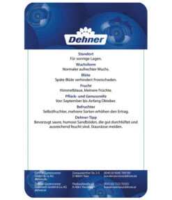 Heidelbeere 'Elliot' -Gartenleben Verkauf 7665227 HeidelbeereElliot Etikett 2