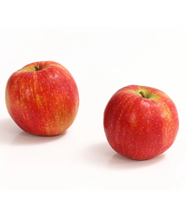 Winterapfel 'Jonagold' 3 Winterapfel 'Jonagold'