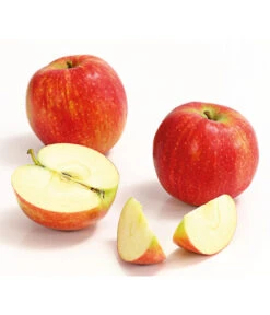 Winterapfel 'Jonagold' 9 Winterapfel 'Jonagold' -Gartenleben Verkauf 7691645 WE DE 006 ApfelJonagoldDehnerExpressHerzig