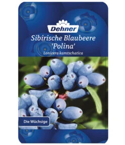 Maibeere -Gartenleben Verkauf 7756448 SibirischeBlaubeerePolina Etikett 1