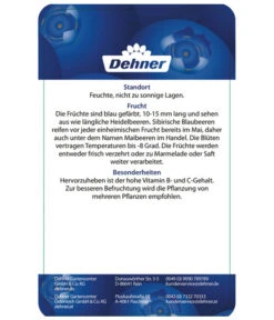 Maibeere -Gartenleben Verkauf 7756448 SibirischeBlaubeerePolina Etikett 2