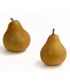 Winterbirne 'Uta' 7 Winterbirne 'Uta' -Gartenleben Verkauf 7769854 WE DE 003 BirneUtaDehnerExpressHerzig