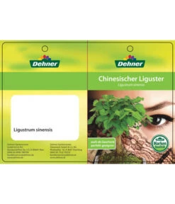 Bonsai Chinesischer Liguster - Ligustrum Sinensis, Kugelförmig, 6 Jahre -Gartenleben Verkauf 7976947 ChinesischerLigusterEtikett1