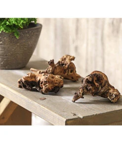 Mopani-Wurzel, 3er-Set -Gartenleben Verkauf 7977507 WE MO 001 MopanieWurzelGroesseS3erSetDehnerExpressHerzig