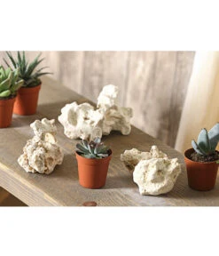 Sansibar Rock, 7-10 Cm, 3er-Set -Gartenleben Verkauf 7977515 WE MO 001 SansibarRockGroesseS3erSetDehnerExpressHerzig