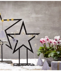 Alpenveilchen, Gefranst -Gartenleben Verkauf 8217473 WE MO 028 Weihnachtsshooting 2015