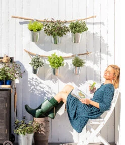 Dehner Gourmet Garten Strauchbasilikum 'Magic Blue' -Gartenleben Verkauf 8610123 WE MO 001 Oregano Kraeuter