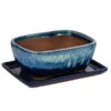 Dehner Keramik-Bonsaischale, Rechteckig, Blau/beige 1 Dehner Keramik-Bonsaischale, Rechteckig, Blau/beige -Gartenleben Verkauf 8732133 WE FS 001 SchalensortimentBonsai BlauBeigeGr 3