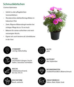 Schmuckkörbchen, Verschiedene Farben -Gartenleben Verkauf 8811192 WE IG 001 SchmuckkoerbchenCosmosBipinnatusT12DehnerExpressHerzig