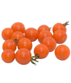 Zuckertomate, Orange -Gartenleben Verkauf 8830101 WE FS 003 ZuckertomateOrange