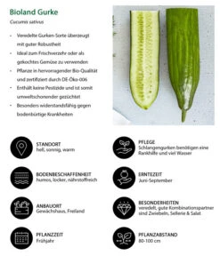 Bioland Gurke, Veredelt -Gartenleben Verkauf 8830853 WE IG 001 BiolandGurke