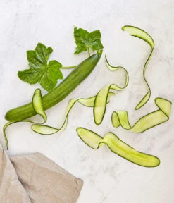 Bioland Gurke, Veredelt -Gartenleben Verkauf 8830853 WE MO 001 SchlangengurkeveredeltRenner