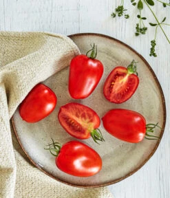 Bioland Eiertomate -Gartenleben Verkauf 8831463 WE MO 001 BiolandEiertomate