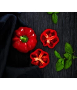 Dehner Gourmet Garten Tomatenpaprika -Gartenleben Verkauf 8831562 WE MO 001 TomatenpaprikaRenner