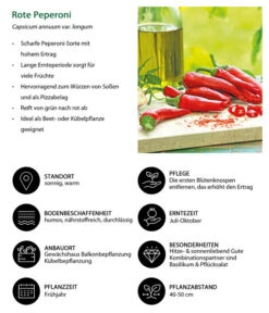 Rote Peperoni, Scharf 13 Rote Peperoni, Scharf -Gartenleben Verkauf 8831687 WE IG 001 RotePeperoni