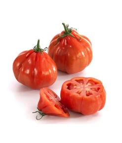 Ochsenherztomate 'Fleurette' -Gartenleben Verkauf 8832883 WE DE 001 Ochsenherztomate