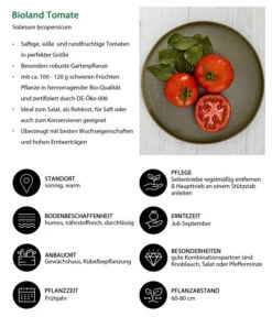 Bioland Tomate, Rundfruchtig -Gartenleben Verkauf 8842619 WE IG 001 BiolandTomate