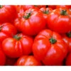 Bioland Fleischtomate -Gartenleben Verkauf 8842627 WE DE 001 BiolandFleischtomate