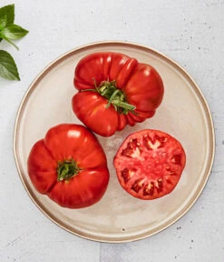 Bioland Fleischtomate -Gartenleben Verkauf 8842627 WE MO 001 BiolandFleischtomate