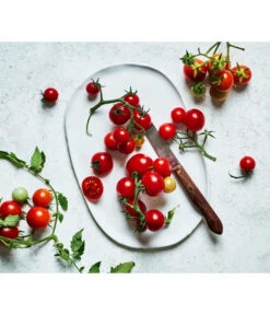 Bioland Cherrytomate -Gartenleben Verkauf 8842635 WE MO 002 Bio Cherrytomate