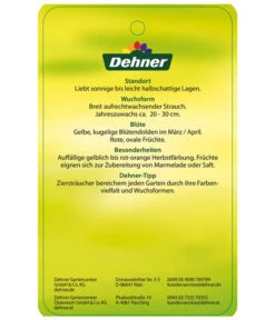 Kornelkirsche - Cornus Mas 13 Kornelkirsche - Cornus Mas -Gartenleben Verkauf KornelkirscheCornusmas Etikett 2